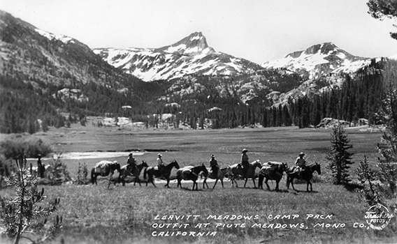 leavitt meadows pack train